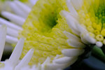 DSCF0035