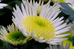 DSCF0041