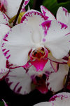 DSCF0045