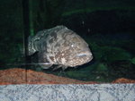 DSC02078