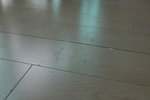 DSCF4733