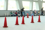 DSCF6078