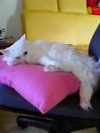 sleeping