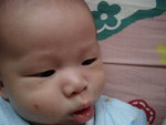 IMGP2326