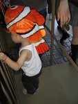 IMG_3284