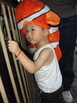 IMG_3285