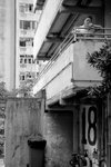 DSC_6894