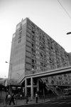 DSC_6936