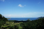 DSC02599