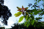 DSC02603