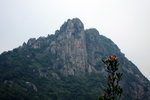 IMG_0918