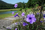 DSC02850