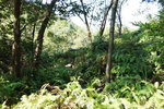 DSC02871