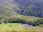 DSCN6168