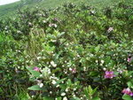 DSCN6172
