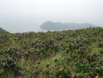 DSCN6177