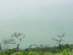 DSCN6188