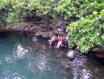 DSCN6204