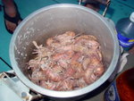 DSCN6233