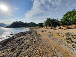 DSCN02784