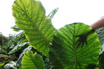 DSCN0571