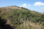 DSCN0595