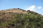 DSCN0600