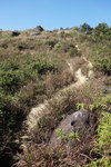 DSCN0602