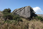 DSCN0610