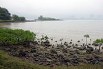DSCN2879