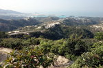 DSC04331