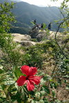 DSC04335