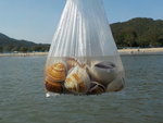 DSCN471