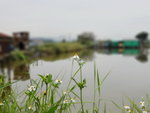 DSCN1729
