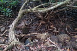 DSCN03322