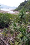 DSCN03323