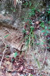 DSCN03352