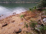 DSCN03356