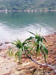 DSCN03357