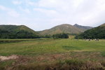 DSCN03374