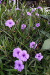 DSCN03386