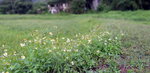 DSCN03399