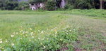 DSCN03400