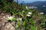 DSCN07489