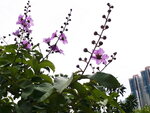 DSCN06370