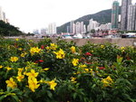 DSCN06375