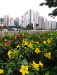 DSCN06376