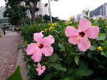 DSCN06377