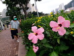 DSCN06378