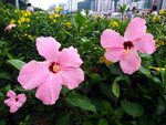 DSCN06379